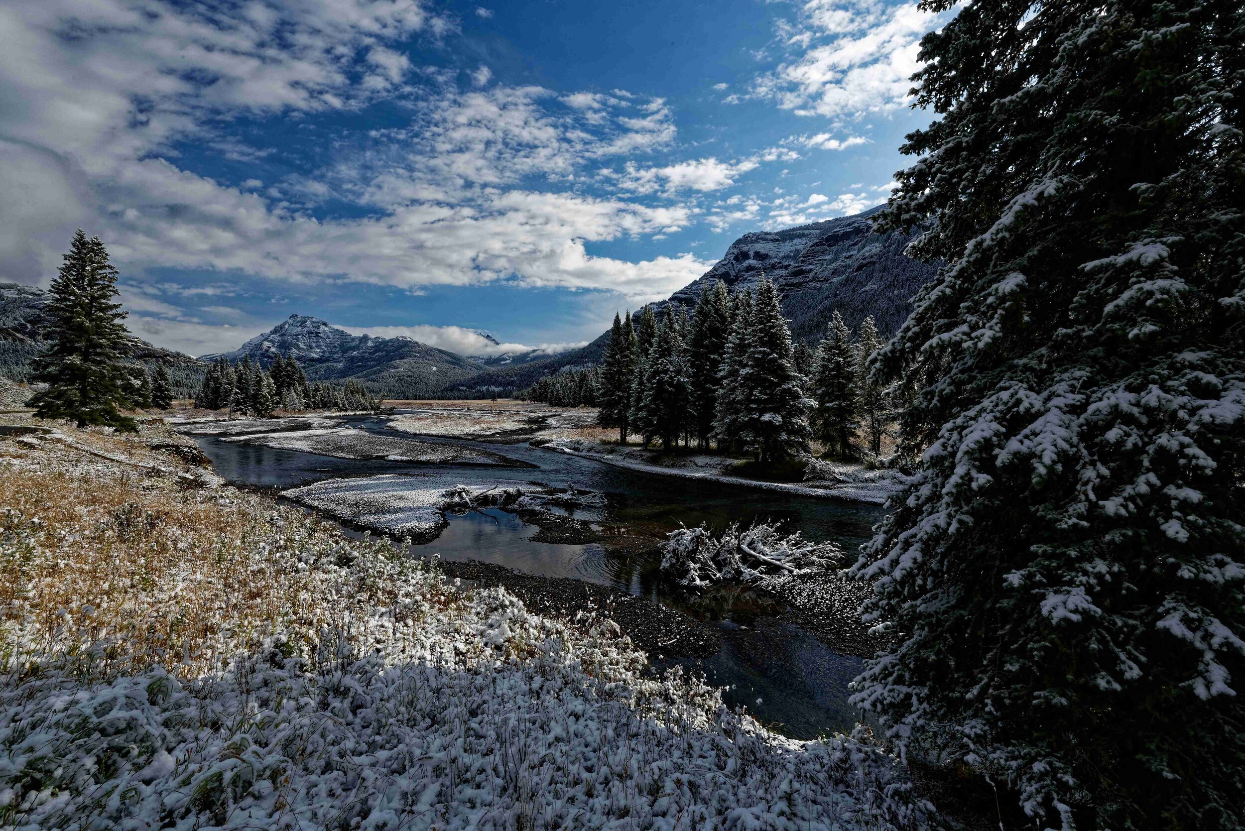 snowy landscape